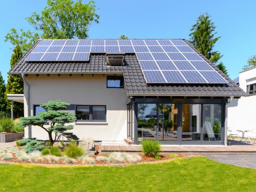 Ein Brandneues Projekt